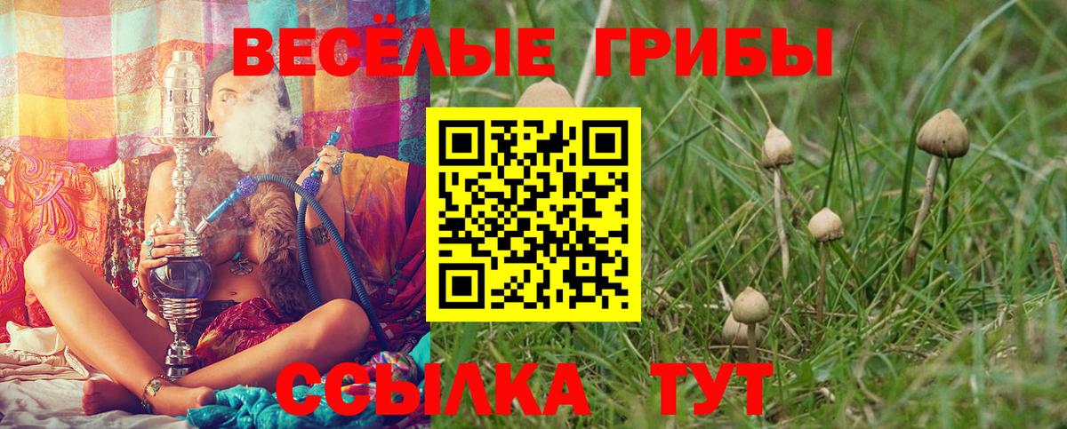 Галлюциногенные грибы Psilocybe  Псилоцибиновые грибы мухоморы  Вход с VPN  Строитель 